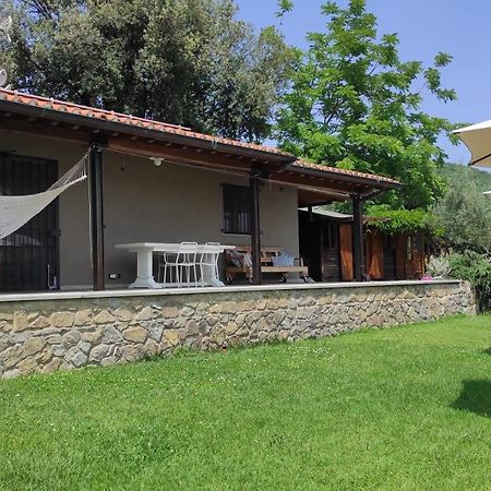 B&B La Casina Di Iris Arezzo Buitenkant foto