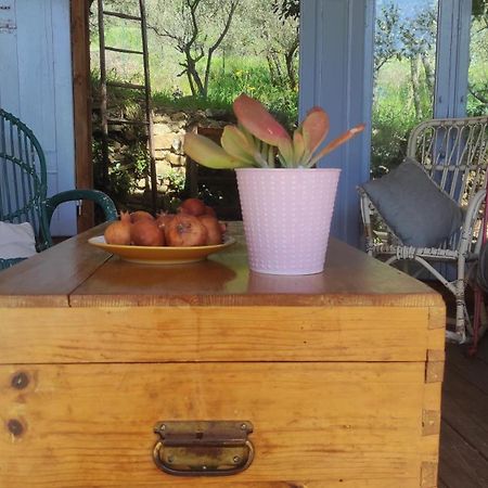 B&B La Casina Di Iris Arezzo Buitenkant foto