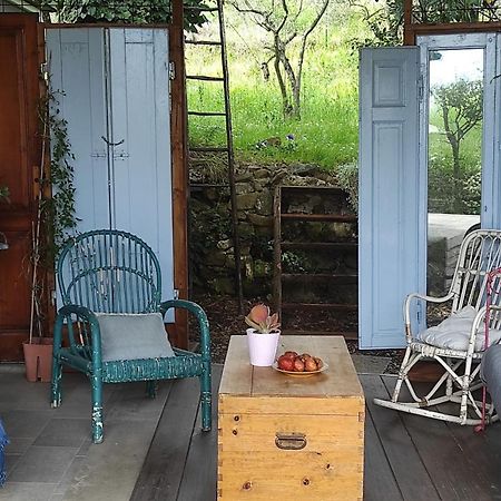 B&B La Casina Di Iris Arezzo Buitenkant foto