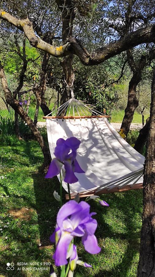 B&B La Casina Di Iris Arezzo Buitenkant foto