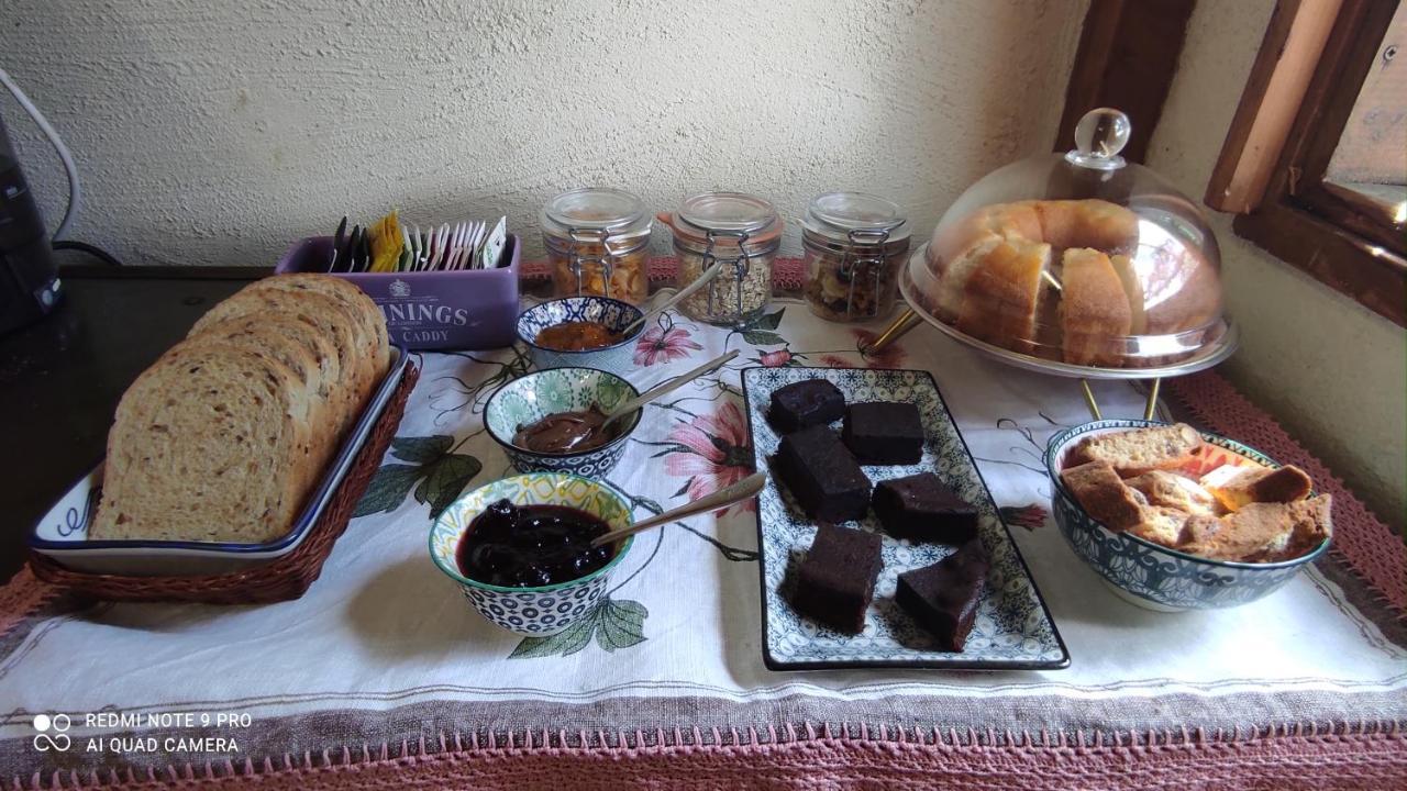B&B La Casina Di Iris Arezzo Buitenkant foto