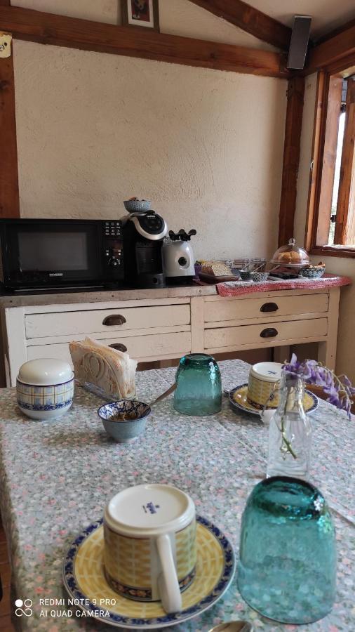 B&B La Casina Di Iris Arezzo Buitenkant foto