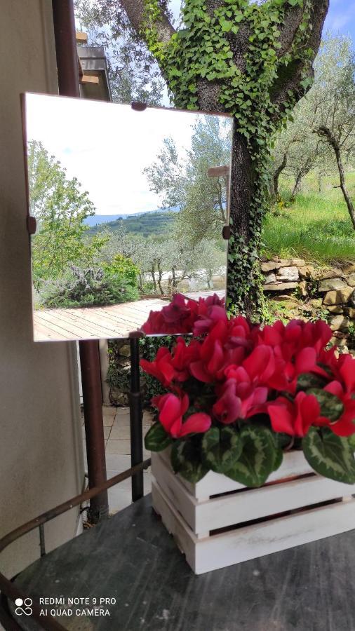 B&B La Casina Di Iris Arezzo Buitenkant foto