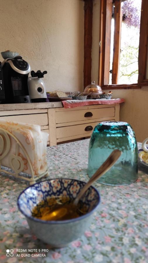 B&B La Casina Di Iris Arezzo Buitenkant foto