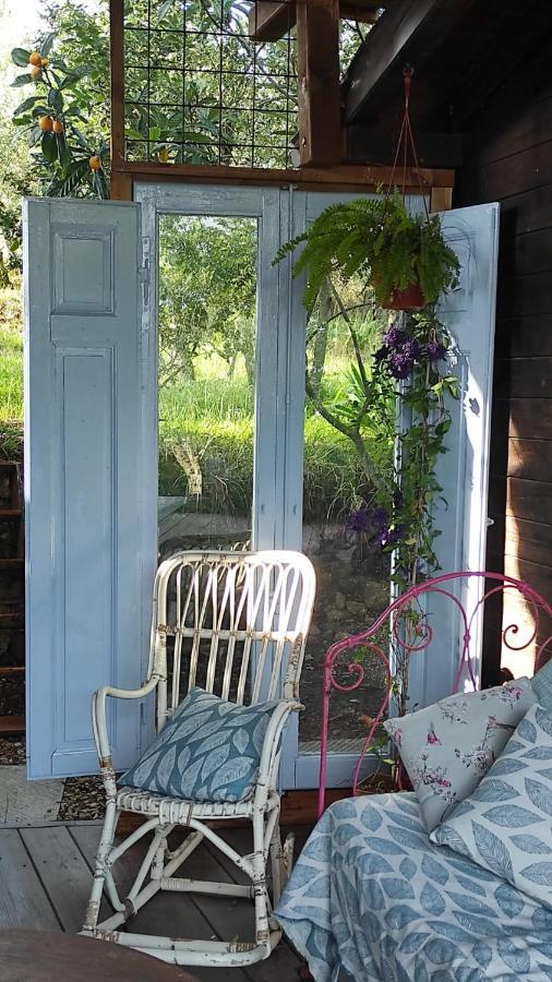 B&B La Casina Di Iris Arezzo Buitenkant foto