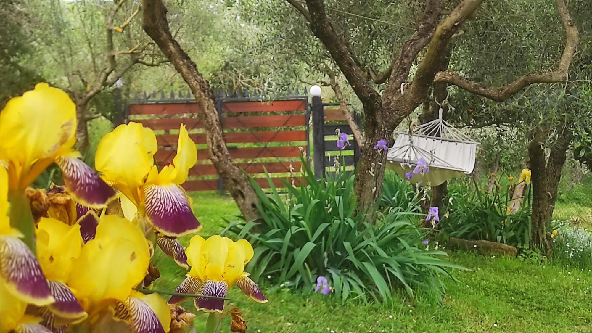 B&B La Casina Di Iris Arezzo Buitenkant foto